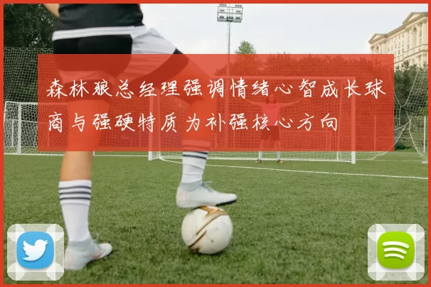 森林狼总经理强调情绪心智成长球商与强硬特质为补强核心方向