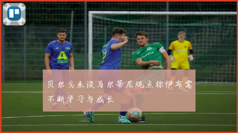 贝尔戈米谈马尔蒂尼观点称伊布需不断学习与成长
